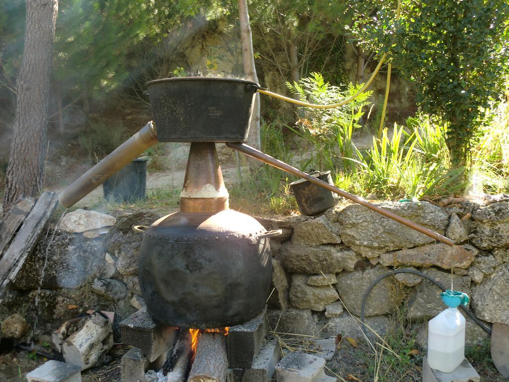 Quinta Do Circo - Serra Da Estrela - Turismo Rural Cortes do Meio Extérieur photo