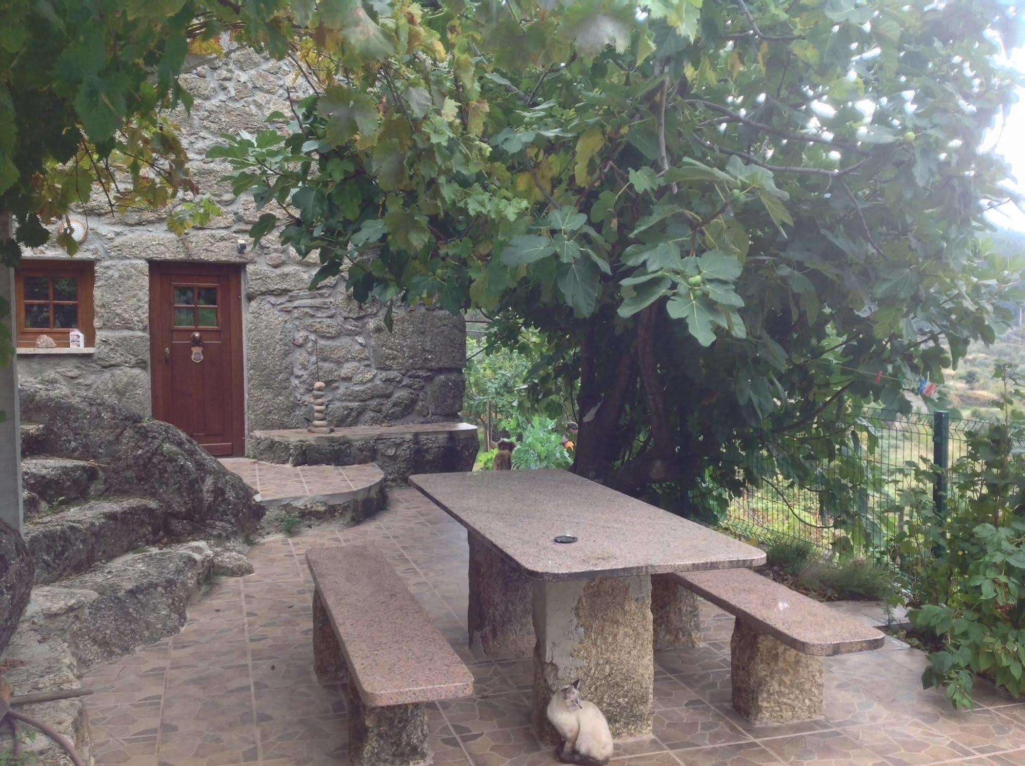 Quinta Do Circo - Serra Da Estrela - Turismo Rural Cortes do Meio Extérieur photo